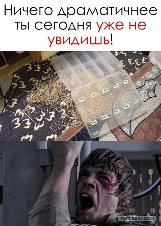 Картинки и мемы, всем хороших выходных