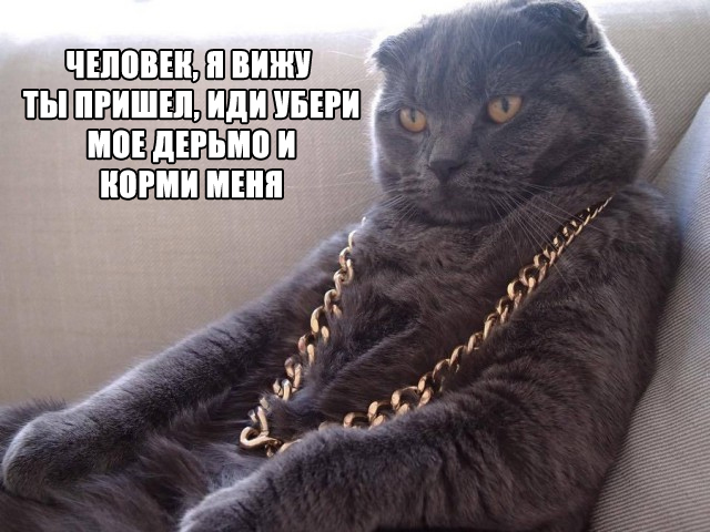 Забавные шутки и картинки из этих ваших интернетов