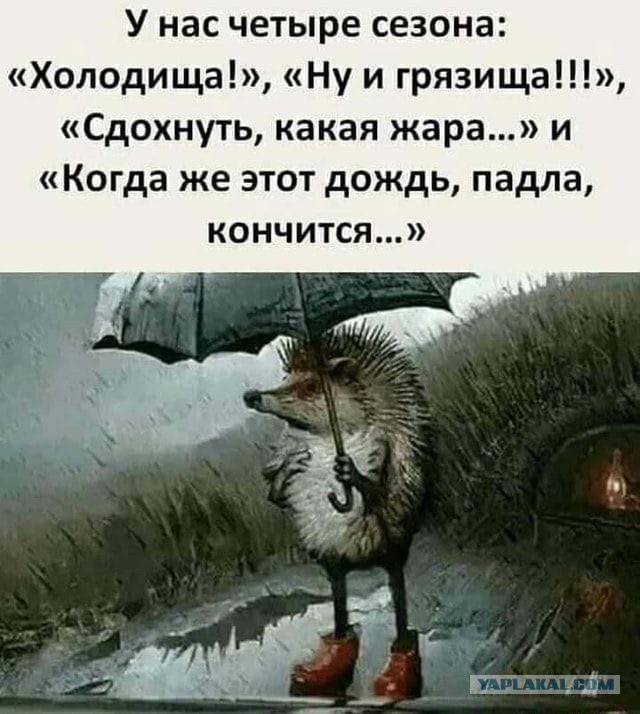 Женился на девственнице и пожалел!