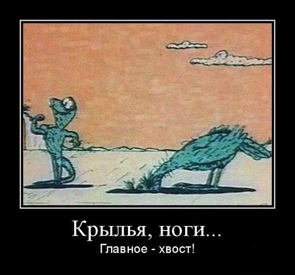 Ну просто очень шикарные котики