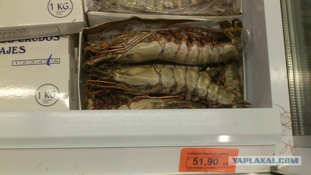 Рынок Бокерия