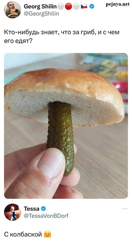 Воскресные легкие гармошки