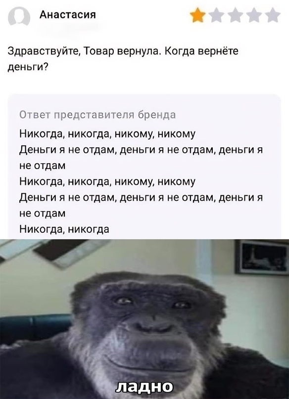 Весёлый полтишок 09.11.23