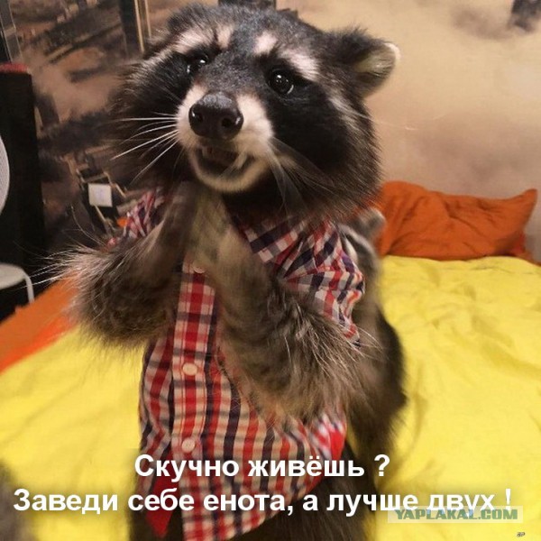 Батюшка о женщинах⁠⁠