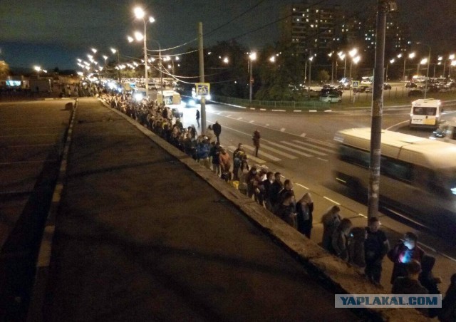 Газели снова вышли на маршруты в Москве