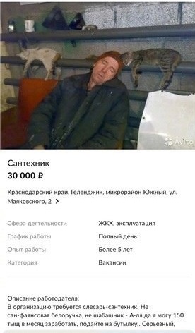 Папа, покажи оленя