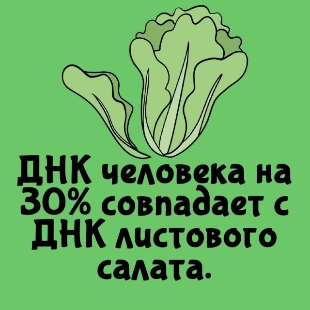 Подборка интересных фактов на все случаи жизни