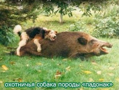 Картинки и буквы 06.12.24