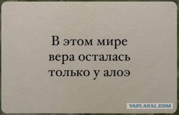 В Госдуме призвали отправить в армию студентов