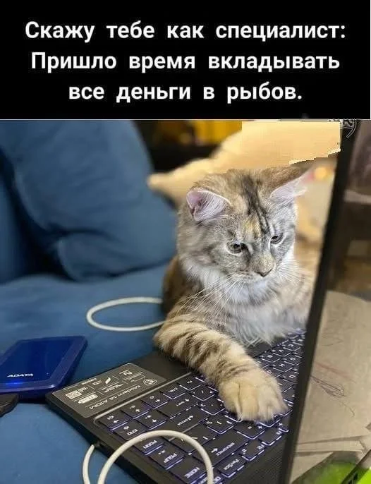 Интернет-мемчики на вторник и рабочее место