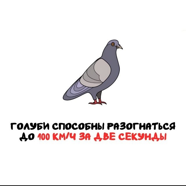 Интересные и короткие факты на все случаи жизни 05.01.26