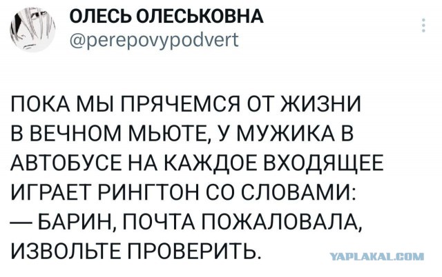 Картинки для деградации 133 (разной степени свежести)
