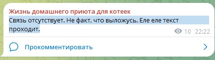 Жизнь домашнего приюта для котеек 571