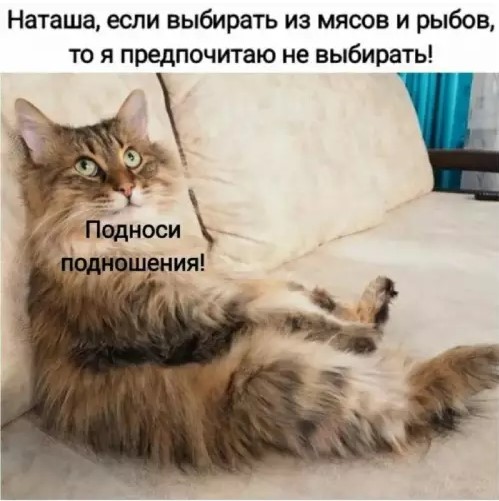 Пакет брать будете?