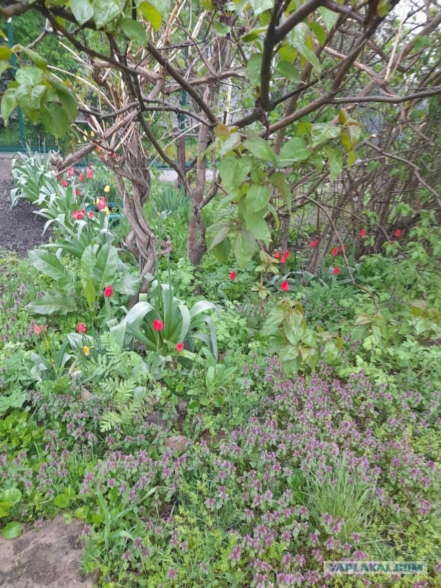 Не дать растаять Снегурчке. Нужна помощь всесильного Япа.