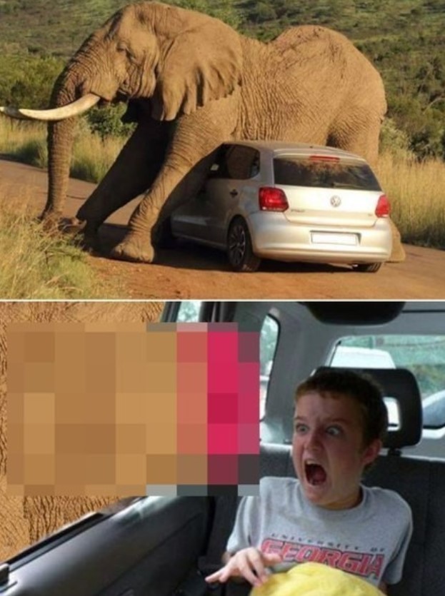 Картиночки, баянчики 26 апреля