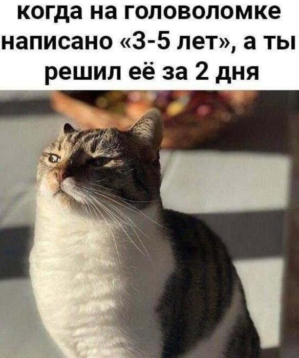 Картинки для деградации 195 (разной степени свежести)