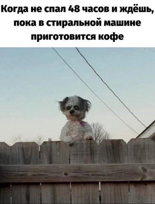 Картинки для деградации 300