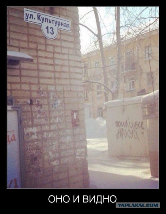 Весёлые картинки. Разбавим будни