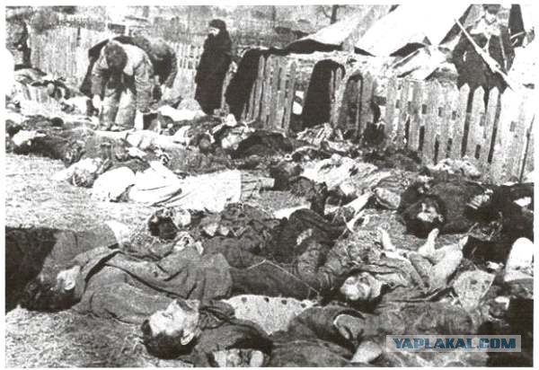 Настоящий памятник степану бандере.