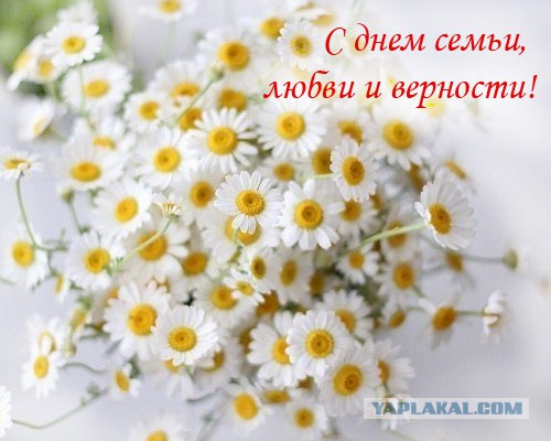 Срочно кровь для новорожденной! 1(-) Москва
