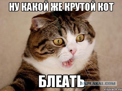 Миссия выполнима
