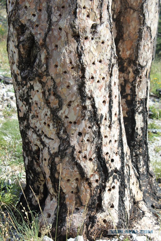 Дорога из Киева и из Москвы в Ялту.