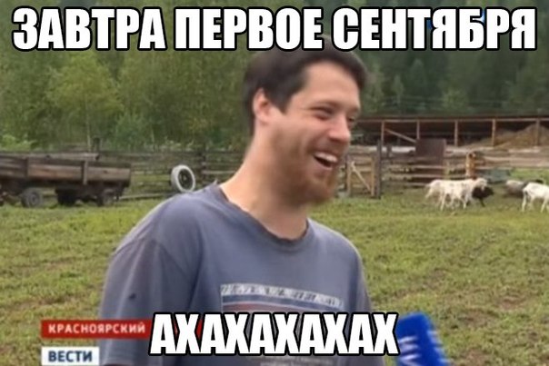 Wargaming 14
