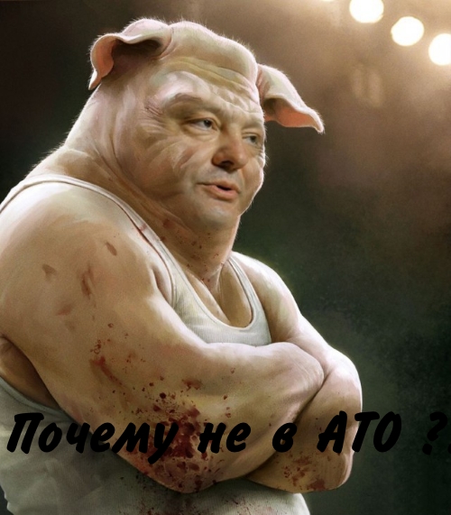 Территория Донецкого аэропорта 10.10.14.