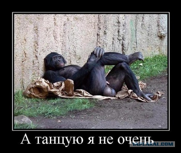 Девушка о мужчинах
