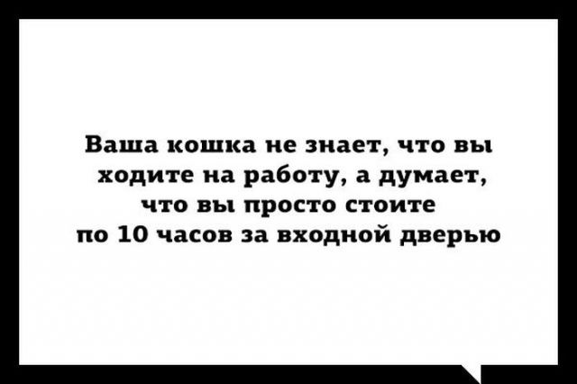 Смешные комментарии из социальных сетей 15.11.14