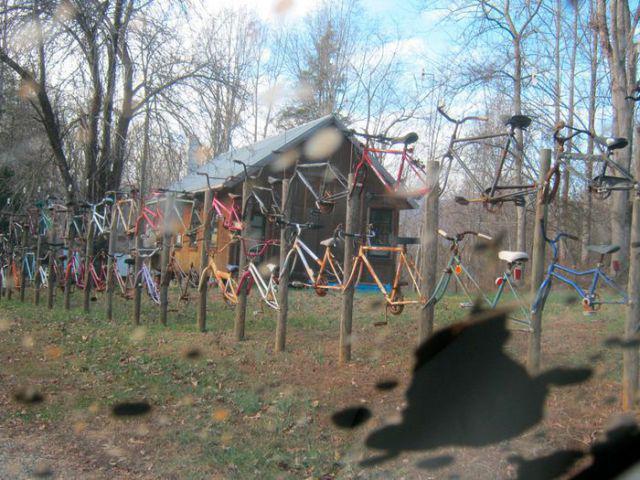 Весёлые картинки