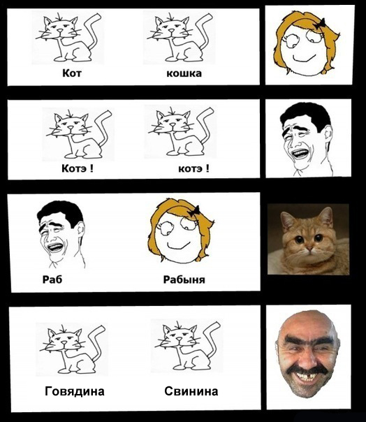 Коты и взгляды