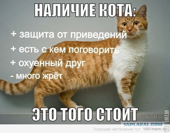 Веселые картинки