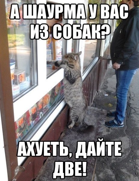 Забавные картинки из интернетов