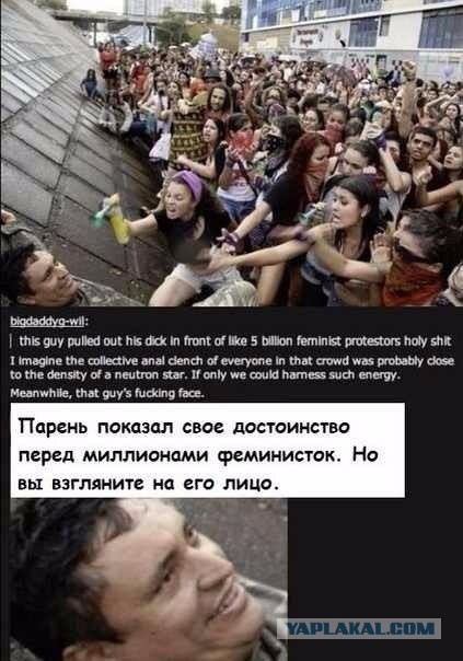 Веселости которые встретились сегодня
