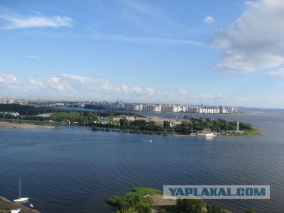 Когда деревья были большими