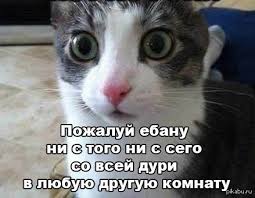 Эталон лживой шалавы