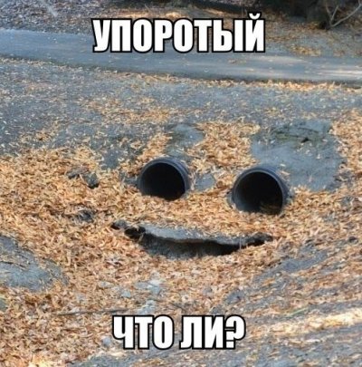 Набор ЯПовца!