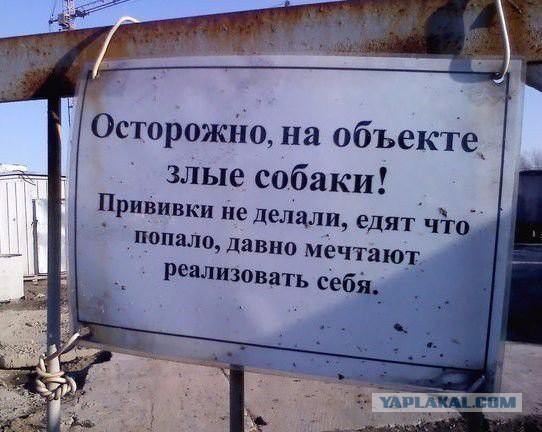 Картинки  разные
