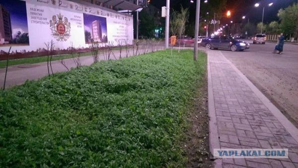 Астана - зеленый город