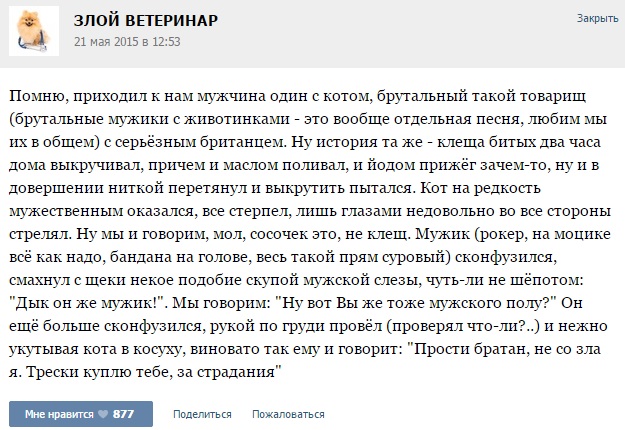 Истории от ветеринаров -8