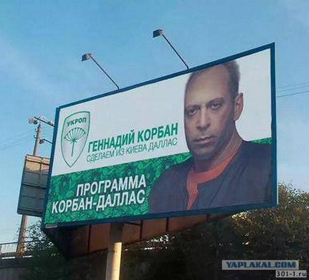 Выборы-выборы! Кандидаты... молодцы.