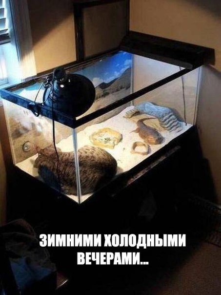 Картинки и демотиваторы