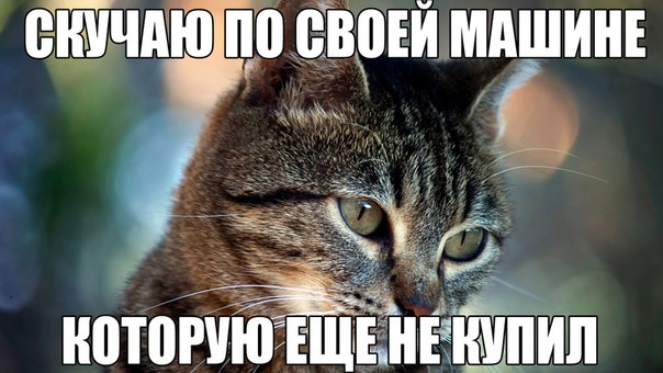 Разные картинки