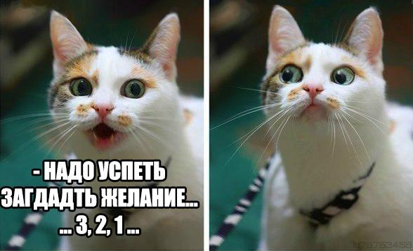 Картинки на утро вторника