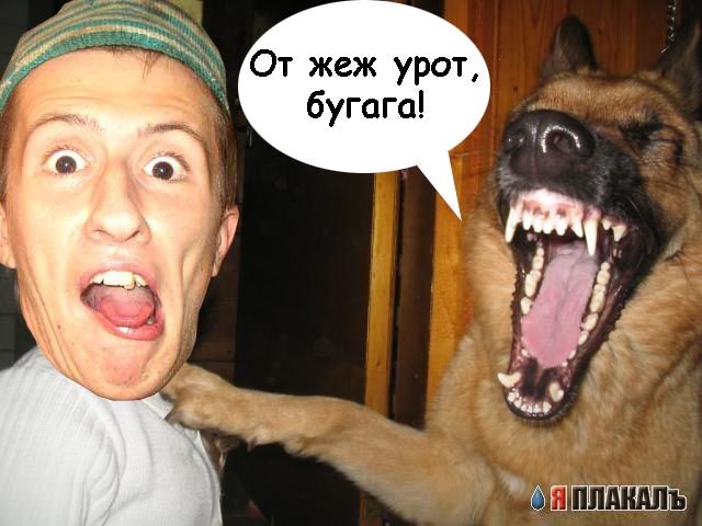 Фотожаба: Два веселых друга