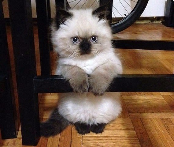 Картинки разные 2