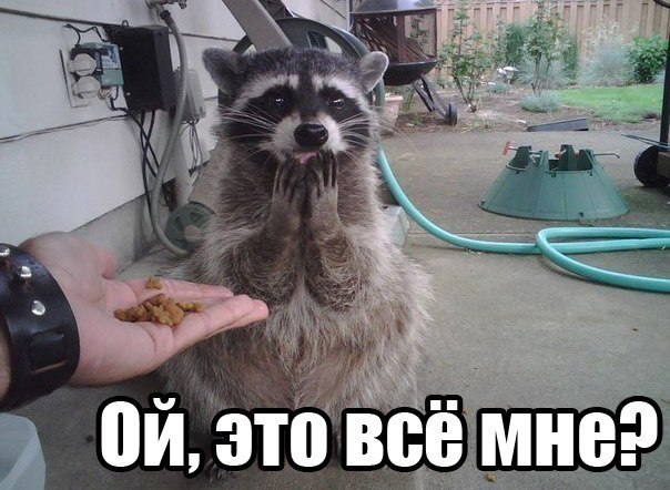 Злые шутки или минутка сарказма на ЯП-е, 16+