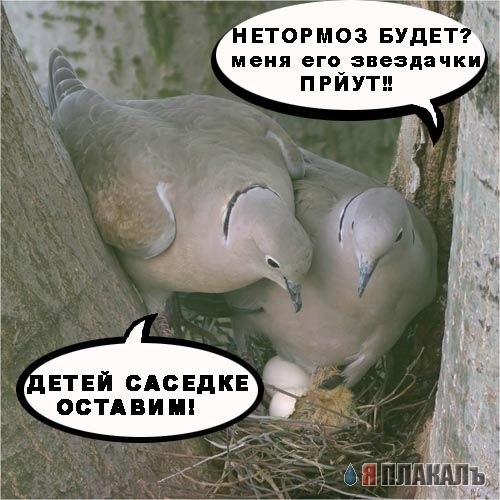 Уже да :) Ужо пятнецца...